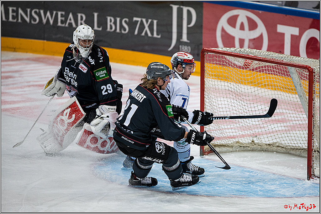 Koelner Haie - Schwenninger Wild Wings, 11.12.2016